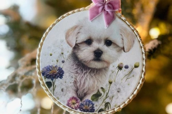 Bichon frise christmas ornament